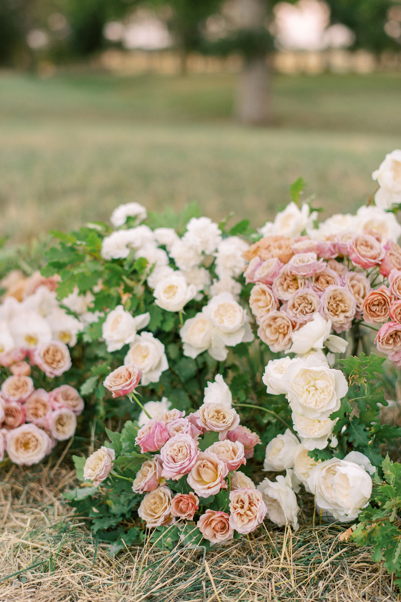 How A Wedding Planner Can Help You Create The Perfect Day How A Wedding Planner Can Help You Create The Perfect Day